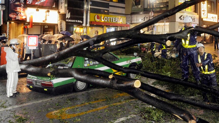 A taxi in Tokyo is partially crushed by a fallen tree due to strong winds caused by Typhoon Roke