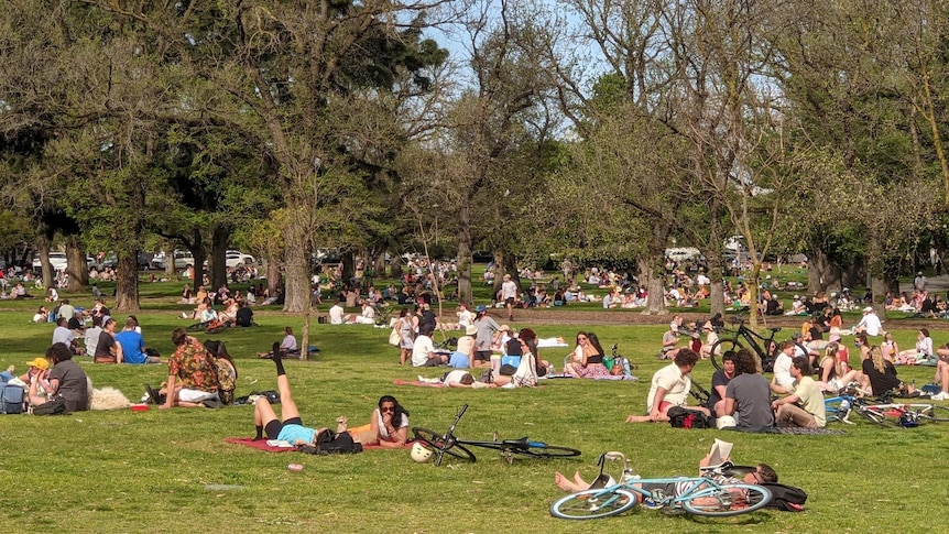 A large number of people gather in Melbourne's Edinburgh Gardens for picnics in this photo taken from social media.