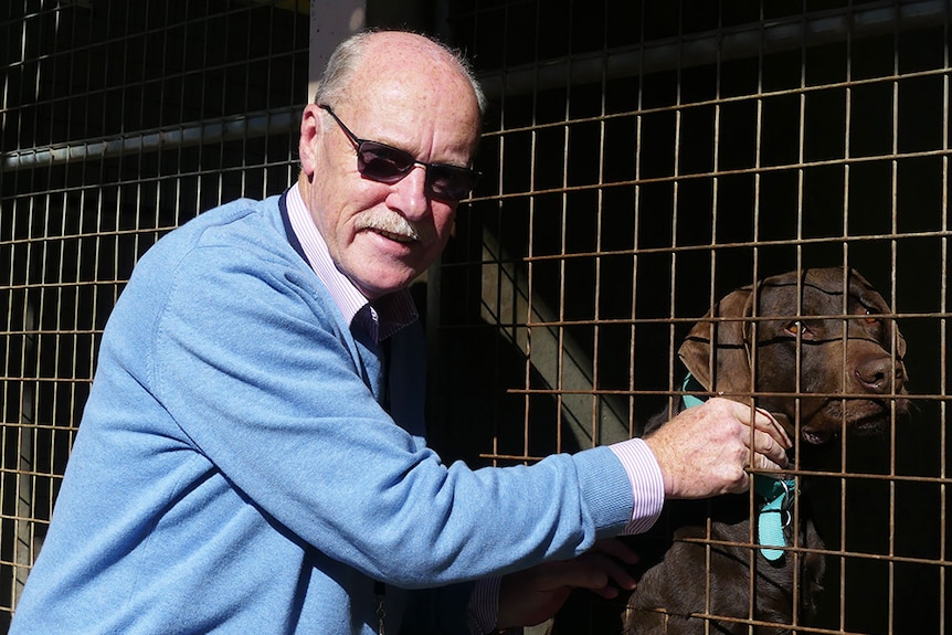 Michael Sertori at the Dogs Home in Risdon Vale