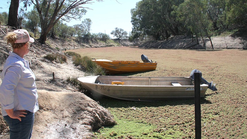 Grazier Julie McClure looks down the Darling River, which is covered in an invasive weed. There are two boats moored to the bank