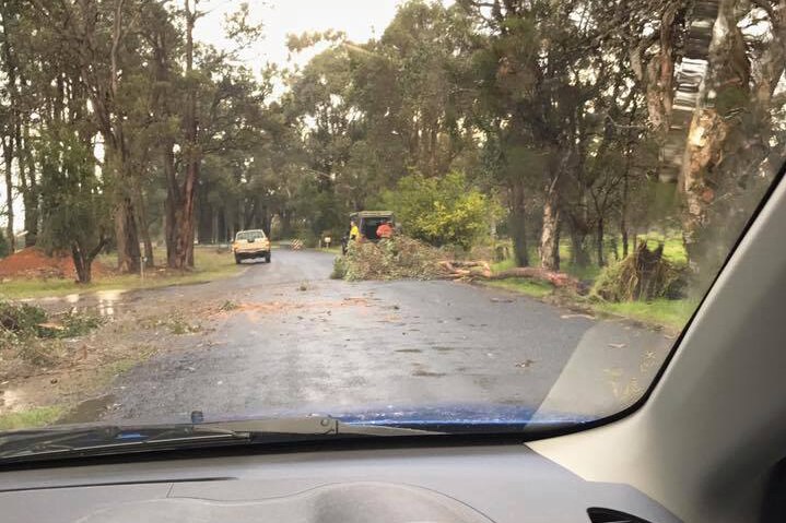 A view through a car windscreen of trees across a road in Dardanup.