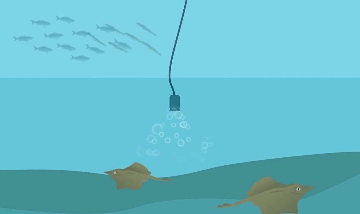 A still images from a cartoon-style animation showing a cord and container sending bubbles into the water near two skates.