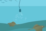 A still images from a cartoon-style animation showing a cord and container sending bubbles into the water near two skates.