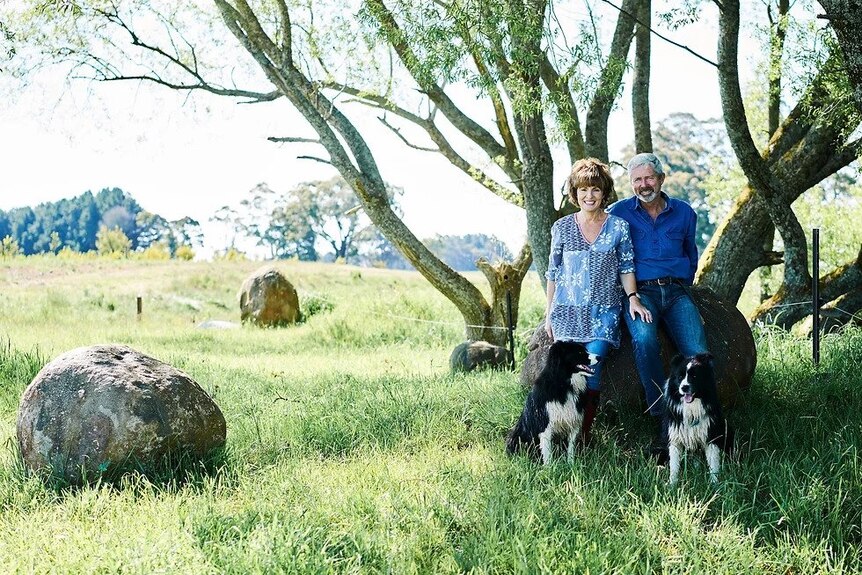 A couple with two farm dogs in front of a tree in a rural landscape