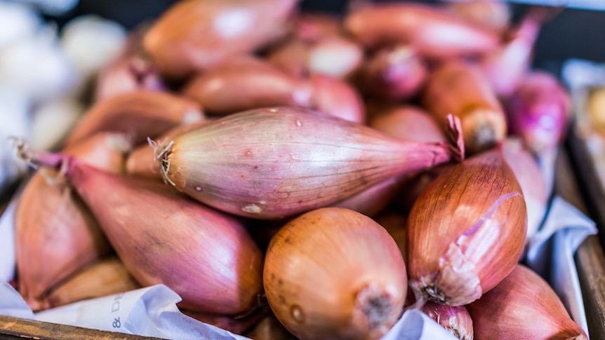 What is a shallot? And how do you cook with them? - ABC Everyday