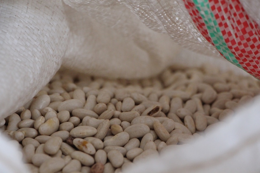 White beans inside a white plastic bag