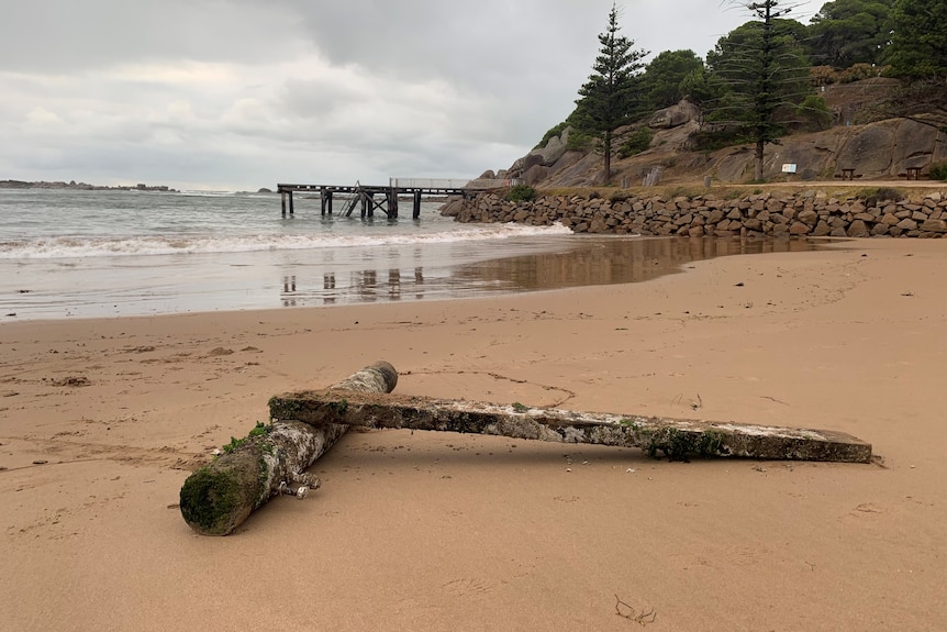 Part of a jetty lies on on a beach.