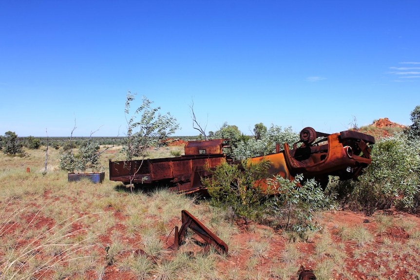 Rusted, old trucks surrounded by grass and bushland