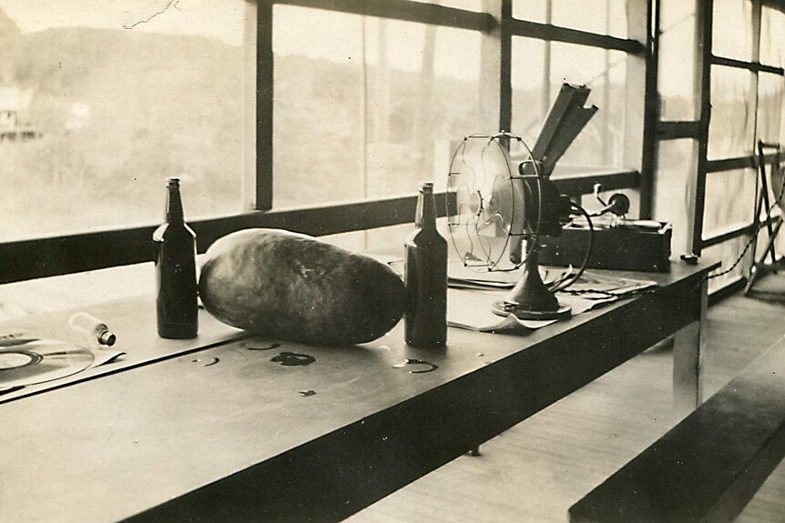 An aged sepia photo shows a small fan blowing onto a watermelon and two beers with a vinyl behind them.