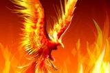 Phoenix rises from ashes art