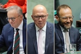 Three images of Albanese, Dutton and Bandt all smiling in the lower house chamber