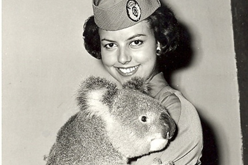 Qantas air hostess with koala