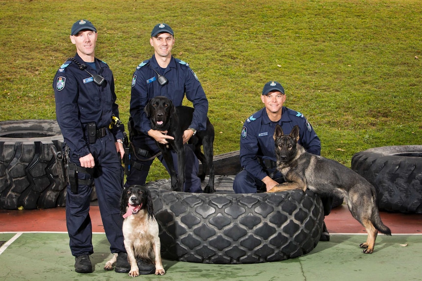 Sergeant Sean Baxendell with PD Bertie, Sergeant Warren Gates with PD Larry and Senior Constable Chad McLeod with PD Prue