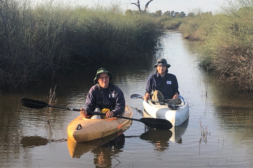 Photo of two men on kayaks.