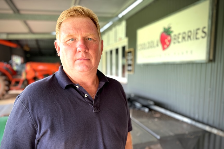 A man looks seriously at the camera with a Cooloola Berries sign and tractor behind him.