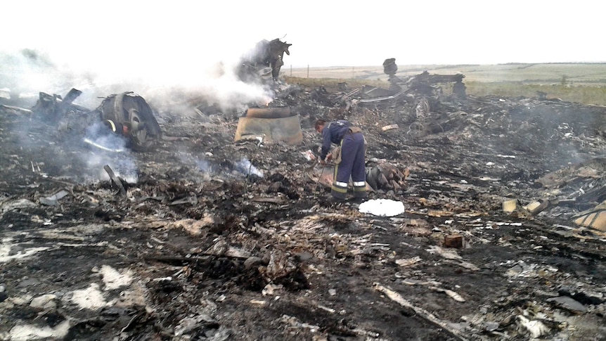 Malaysia Airlines plane crash