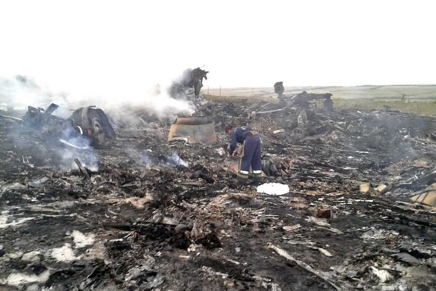 Malaysia Airlines plane crash