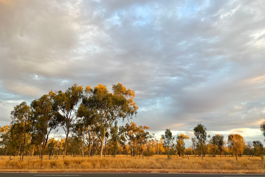 The sun shines on a piece of land with trees, with clouds in the sky.