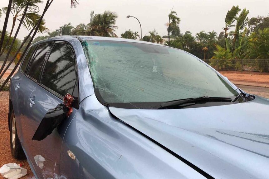 A car with damage after a palm tree fell on it in Cyclone Hilda.