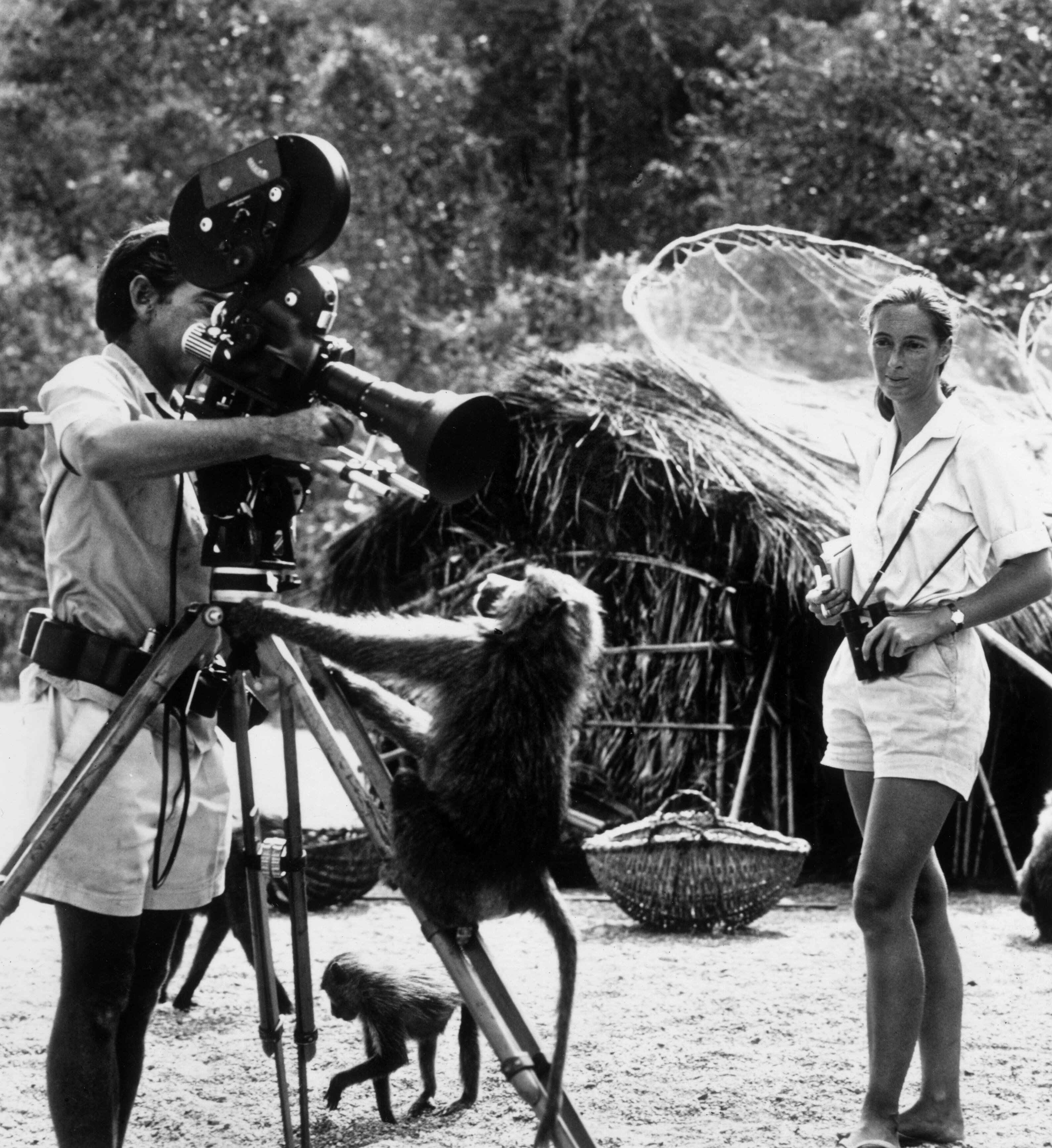 An old black and white photo of a man and woman standing next to a camera with a baboon climbing on the camera tripod