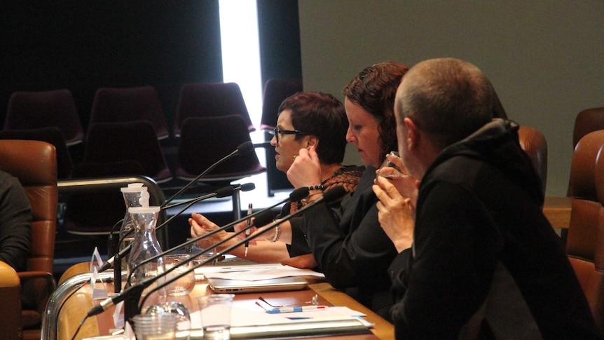 Broken Hill mayor Darriea Turley gives evidence at drug inquiry