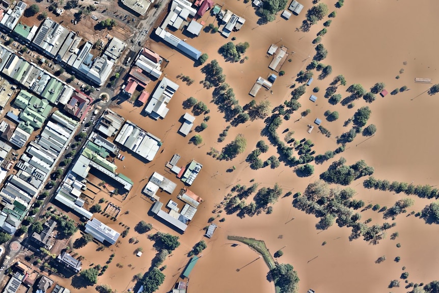 an overview of Lismore suburbs and fields inundated with brown water so only treetops are visible