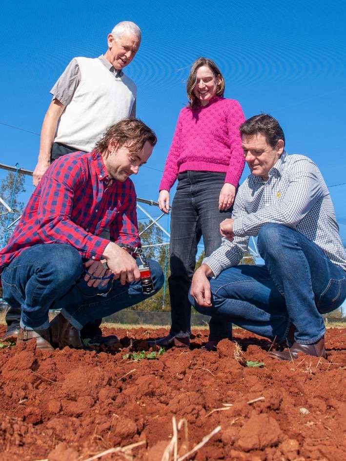 group of people looking at plants