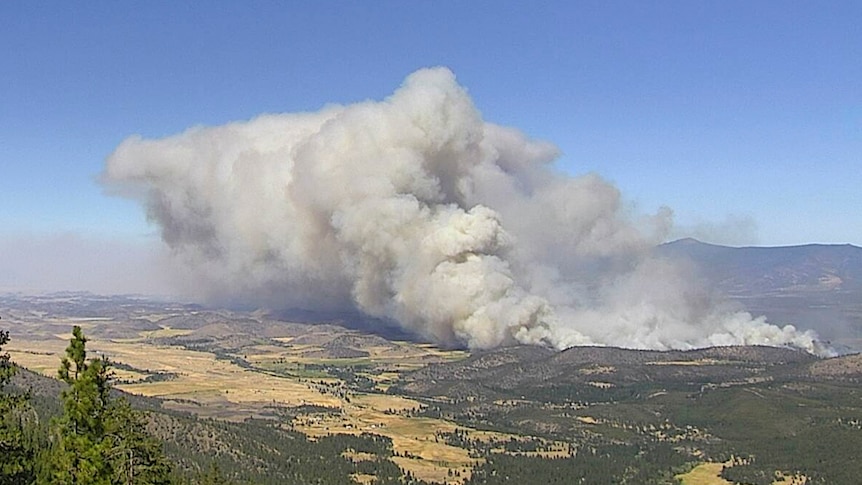 smoke billows out of a ranch with blue sky in the background and trees in the foreground