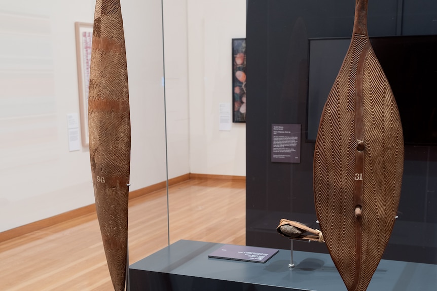 A long, thin oval aboriginal shield alongside a shorter oval shield with a stone axe on a plinth behind them.