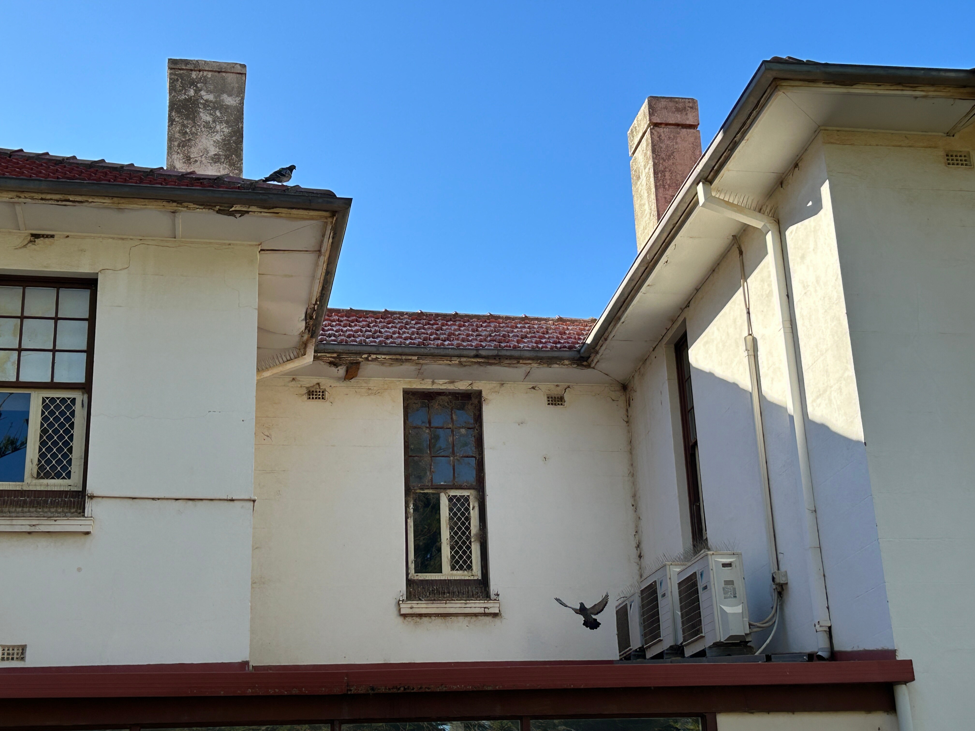 A building that is old and dirty and with pigeons on it.