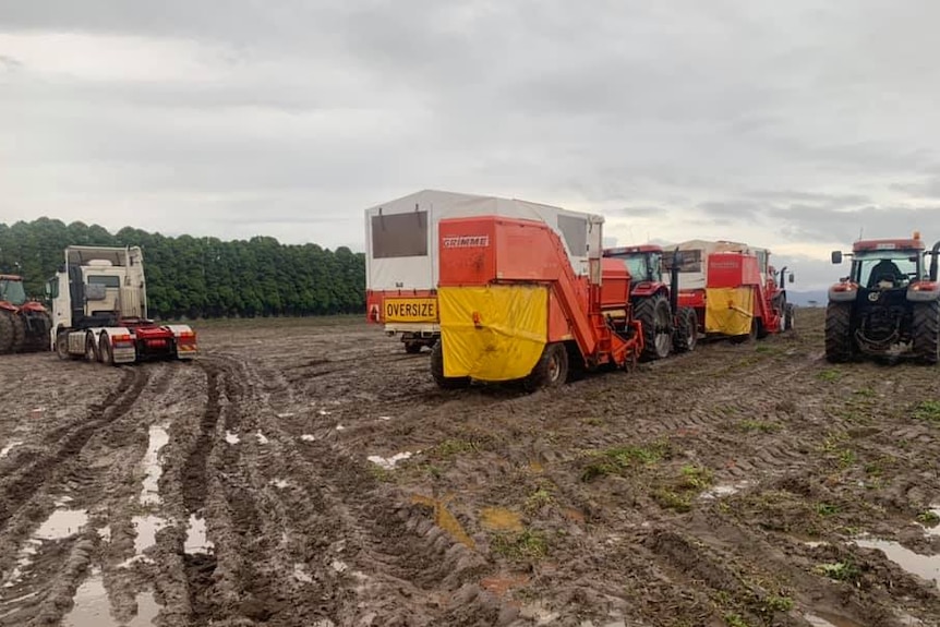 several tractors surround a truck carrying potatoes in a muddy paddock