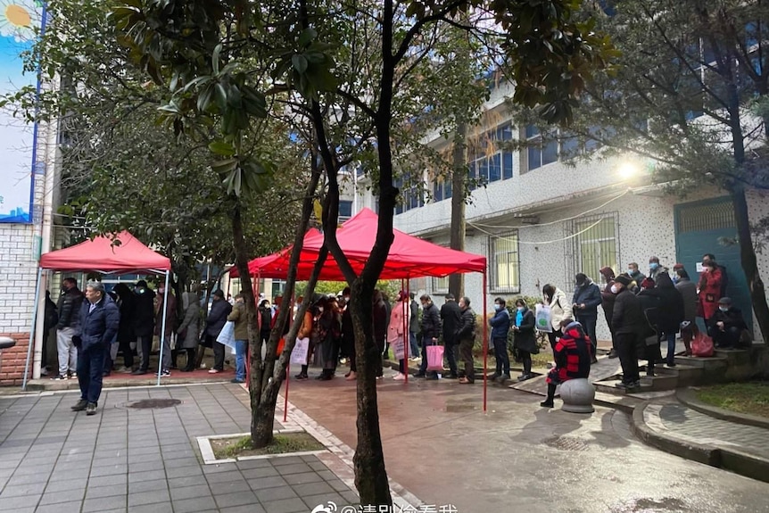 A long line of people wearing protective masks in Wuhan line up to enter a medical clinic, in this image taken from Weibo.