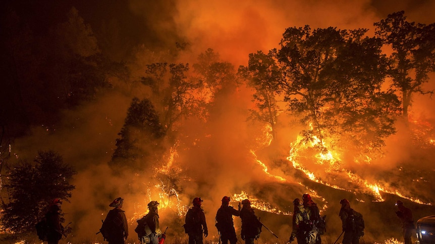 Flames from the Valley Fire cover a hillside in California