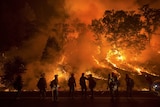Flames from the Valley Fire cover a hillside in California