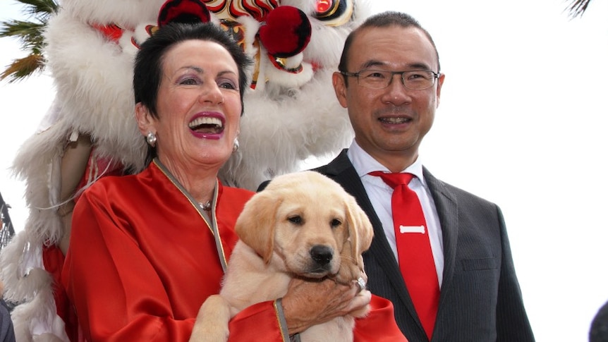 a woman holding a puppy next to a man in glasses