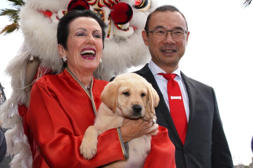 a woman holding a puppy next to a man in glasses