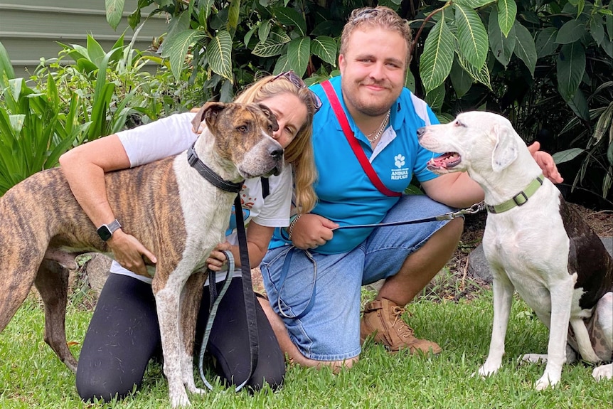 A man and woman crouch on the ground with two large, friendly-looking dogs