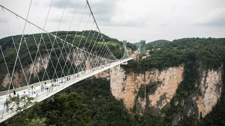 People walk on the world's highest and longest glass-bottomed bridge above a valley in Zhangjiajie.