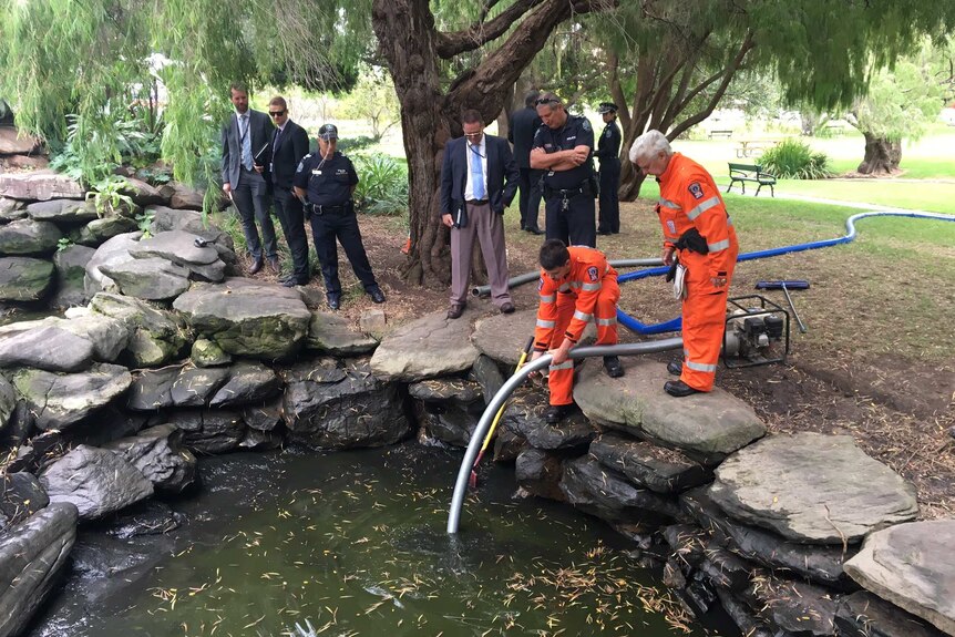 SES volunteers drain the Veale Gardens pond.