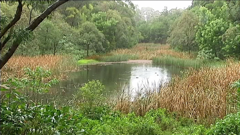 The dam at the old Bulli mine