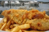 A piece of bettered fish on a plate alongside hot chips