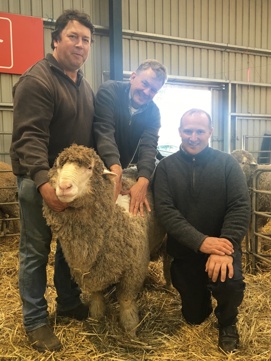 William Lynch (left) and Peter Wallis (right) bought Sheepvention's top ram for $30,000 from Keith producer Geoff Davidson.