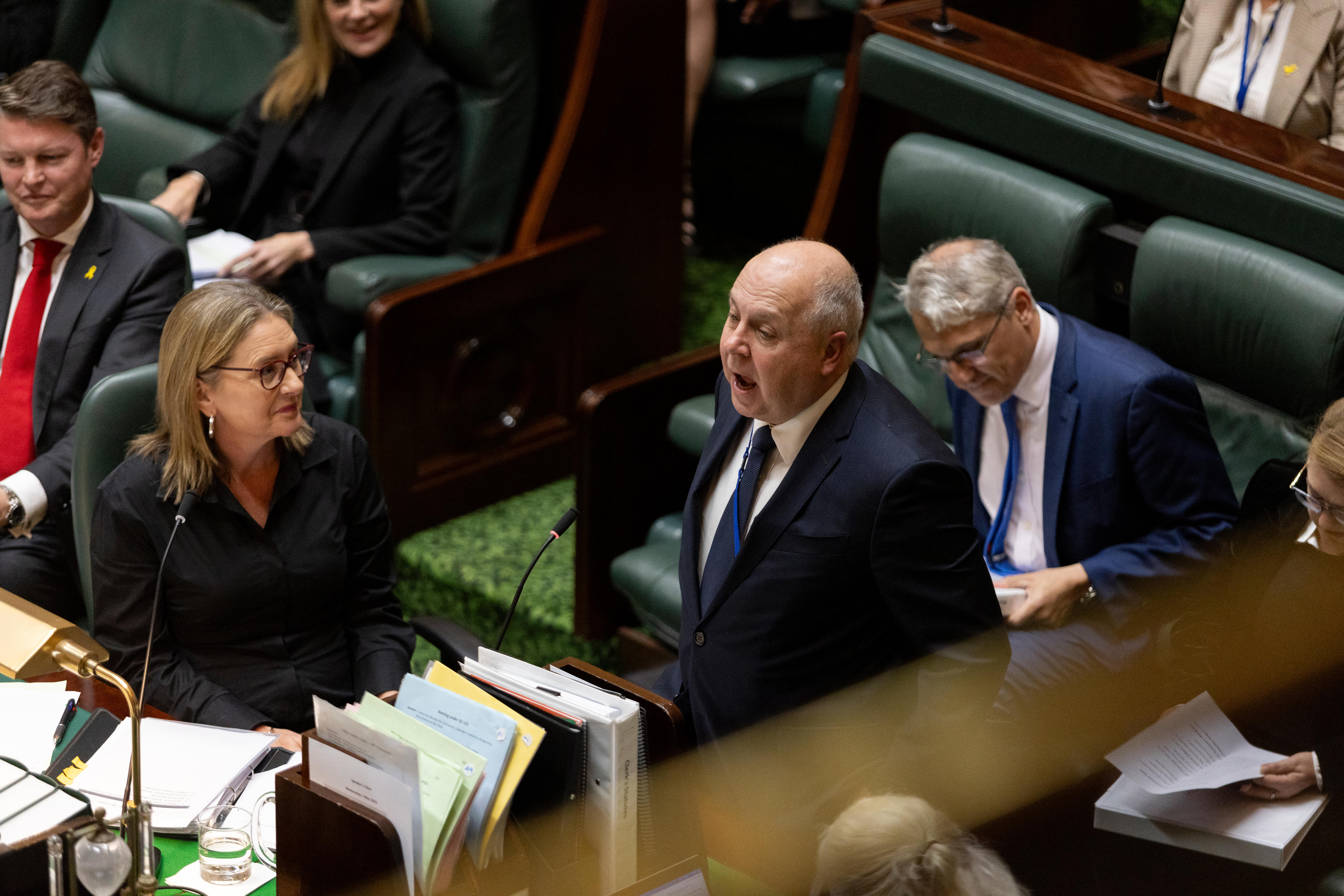 Tim Pallas and Jacinta Allan in Victorian parliament during question time