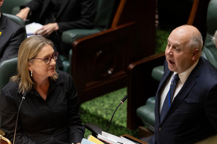 Tim Pallas and Jacinta Allan in Victorian parliament during question time