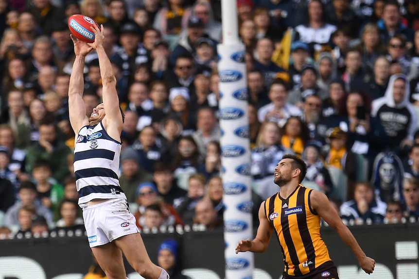 Patrick Dangerfield of the Cats (left) and Luke Hodge of the Hawks contest at the MCG.