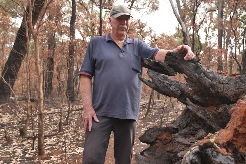 A man standing against a burnt log in a forest.
