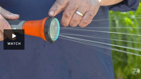 A hose sprayer nozzle with blocked holes causing uneven spray. Has Video.