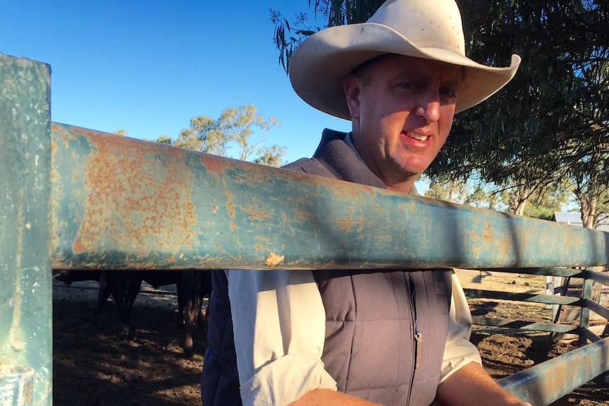 Wagyu exporter Matt Edwards said the trade with Japan in limbo