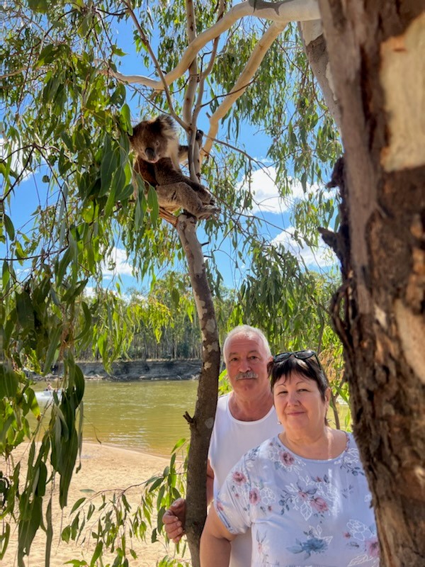 Two older people stand under a gumtree with a koala in it, by a river