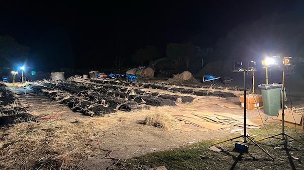 No-dig rows of garden beds in an open field at night under work lights.